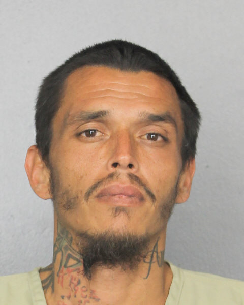  DAVID EARL NELSON Photos, Records, Info / South Florida People / Broward County Florida Public Records Results