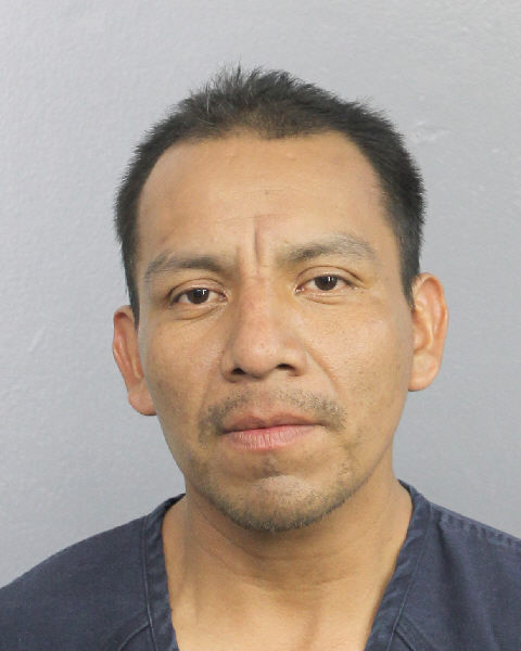  CARLOS MARTINEZ ESTRADA Photos, Records, Info / South Florida People / Broward County Florida Public Records Results