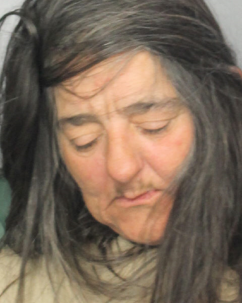  LYNDA DENISE EVERAGE fotografia del sheriff oficial del condado de Broward