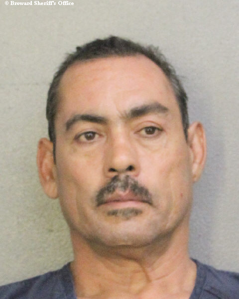 NESTALI TORRES fotografia del sheriff oficial del condado de Broward