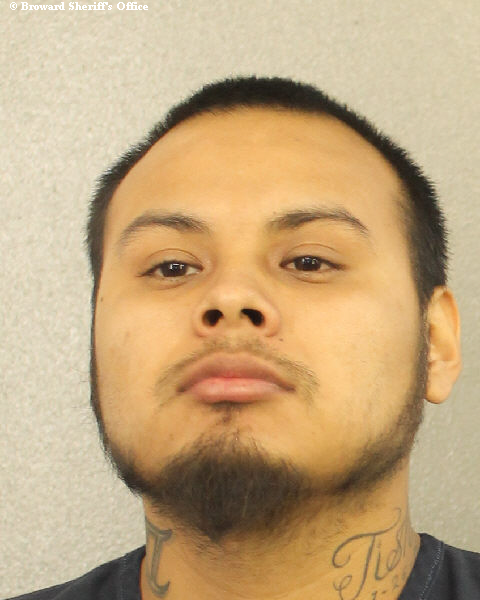  RYAN TIGER Photos, Records, Info / South Florida People / Broward County Florida Public Records Results