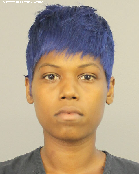  TIASHLEY TIARA TWENSEY Photos, Records, Info / South Florida People / Broward County Florida Public Records Results