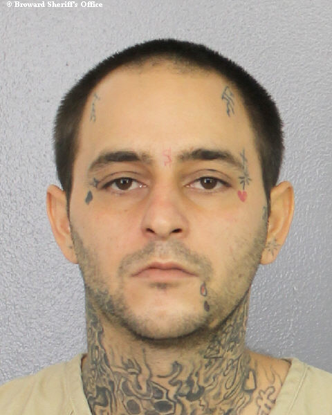  CODY JACKSON DIMATTEI Photos, Records, Info / South Florida People / Broward County Florida Public Records Results