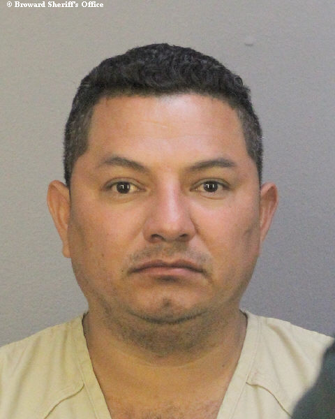  JOSE GUILLERMO CLAVEL-AVELAR Photos, Records, Info / South Florida People / Broward County Florida Public Records Results