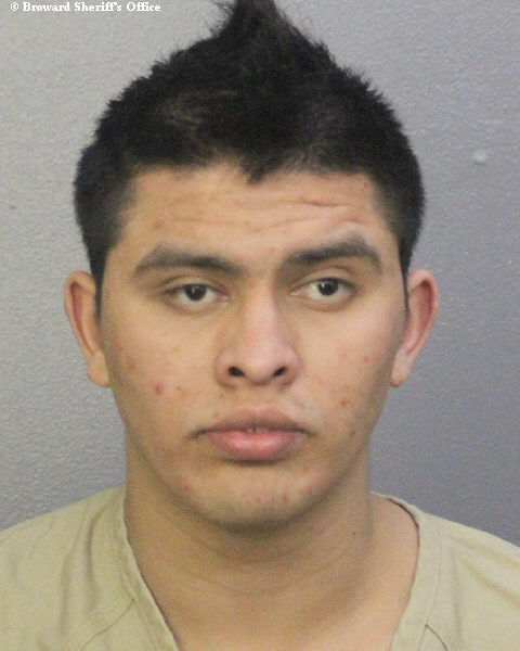 DONALDO ZUNIGA-SALGUERO Public Records / South Florida Photos / Broward County Florida People + Places  DONALDO ZUNIGA-SALGUERO Photos, Records, Info / South Florida People / Broward County Florida Public Records Results