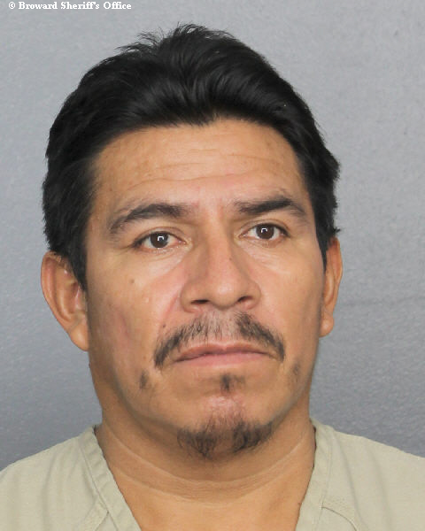  ANGEL MIGUEL-MARTIN Photos, Records, Info / South Florida People / Broward County Florida Public Records Results