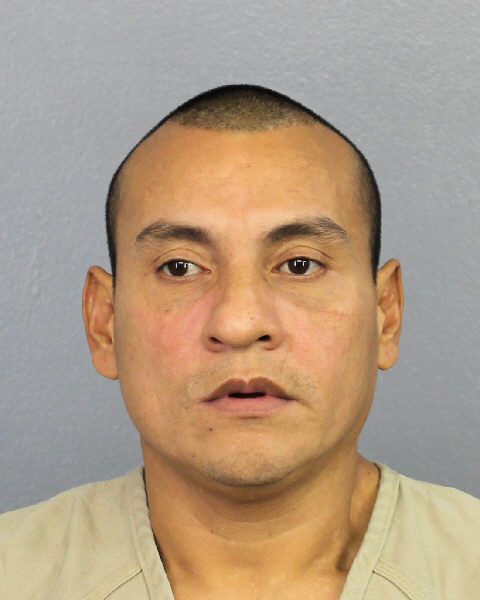  RONMEL MENDOZA-ENAMORADA fotografia del sheriff oficial del condado de Broward