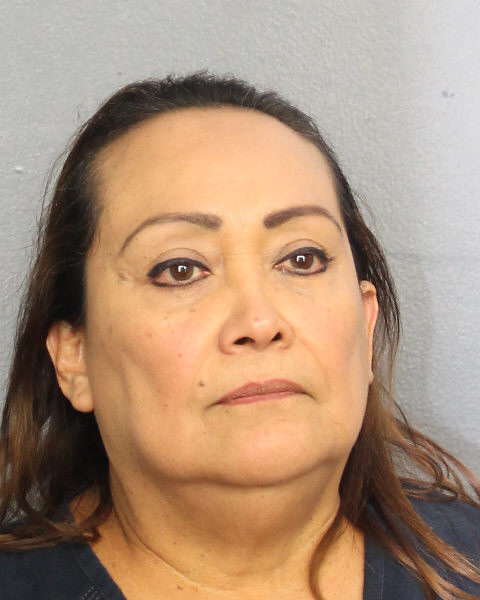  NAYIBE NOA Photos, Records, Info / South Florida People / Broward County Florida Public Records Results