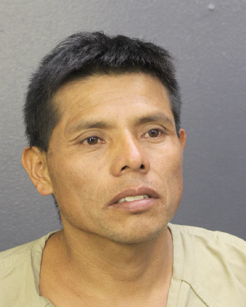 MATEO CAVAS-CICONA Public Records / South Florida Photos / Broward County Florida People + Places MATEO CAVAS-CICONA Photos, Records, Info / South Florida People / Broward County Florida Public Records Results