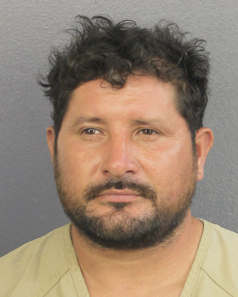 Luis Gonzales Castillo Photos, Records, Info / South Florida People / Broward County Florida Public Records Results