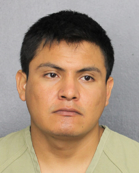 Eligio Gonzalez Torres Photos, Records, Info / South Florida People / Broward County Florida Public Records Results