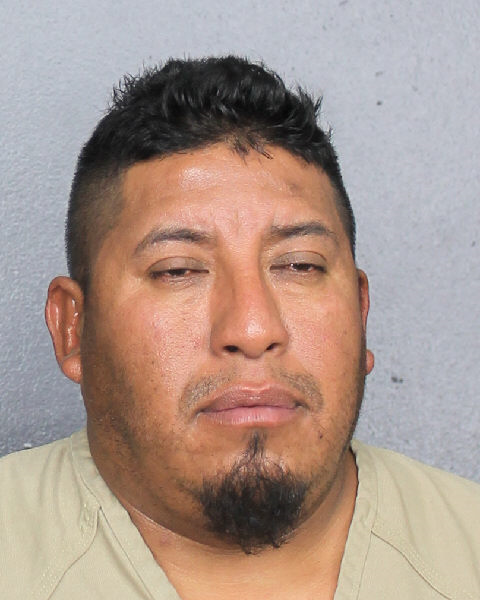 Elpidio Padilla Santillan Photos, Records, Info / South Florida People / Broward County Florida Public Records Results