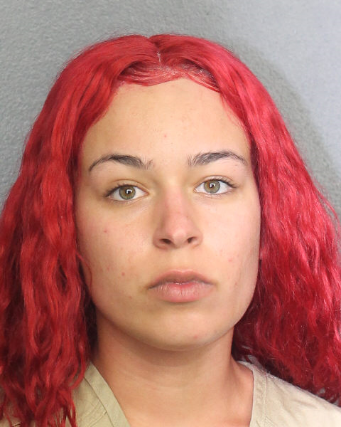 Andrea Pichs fotografia del sheriff oficial del condado de Broward