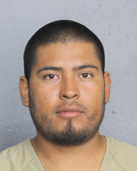 Lionides Beristain Photos, Records, Info / South Florida People / Broward County Florida Public Records Results