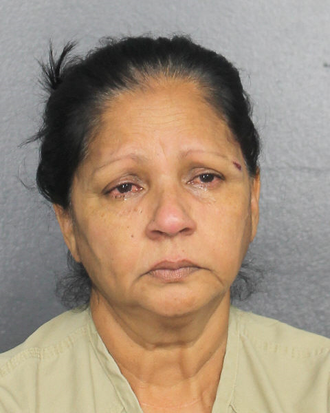 Bibi Zimoon David Photos, Records, Info / South Florida People / Broward County Florida Public Records Results