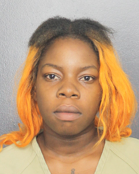 Simone Polinics Photos, Records, Info / South Florida People / Broward County Florida Public Records Results