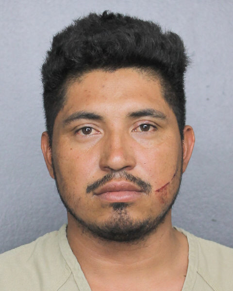 Johanan Salinas Photos, Records, Info / South Florida People / Broward County Florida Public Records Results