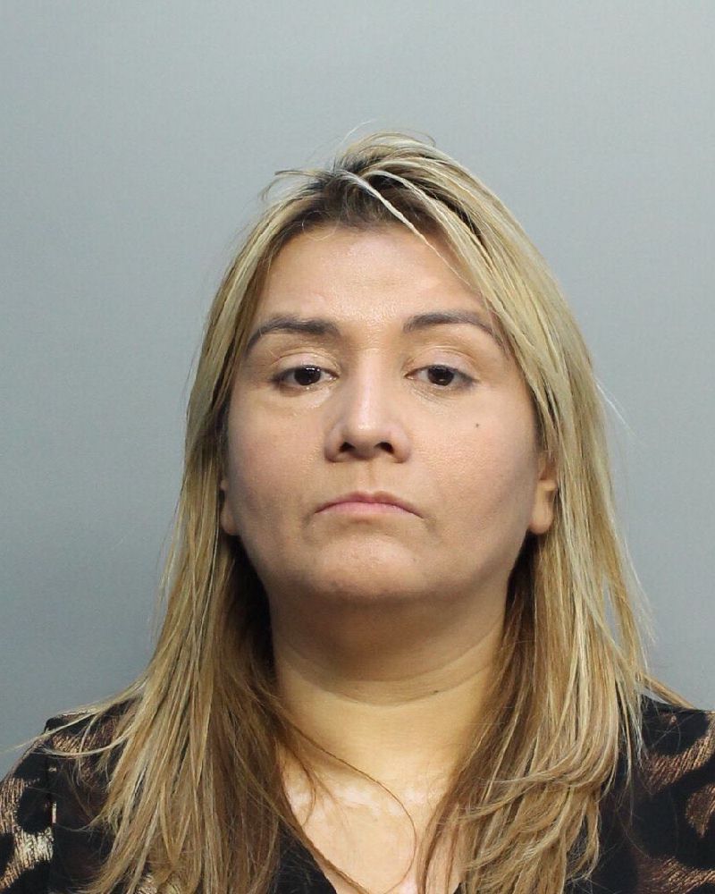 Yanna Palmieri Photos, Records, Info / South Florida People / Broward County Florida Public Records Results