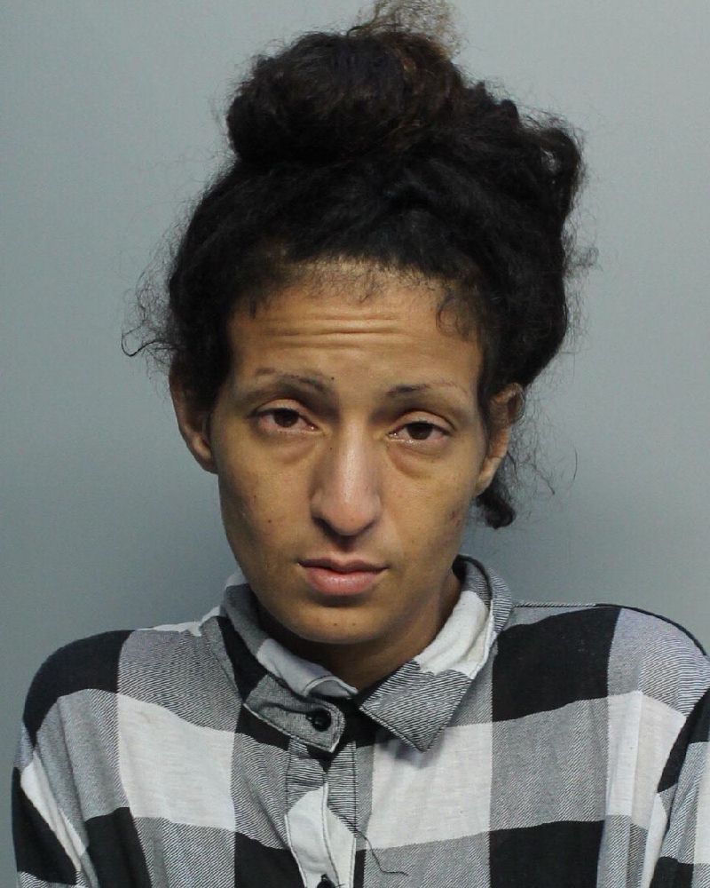 Kathleen Dottel fotografia del sheriff oficial del condado de Broward