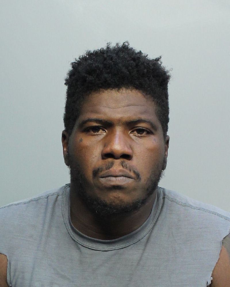 Britton Lewis fotografia del sheriff oficial del condado de Broward