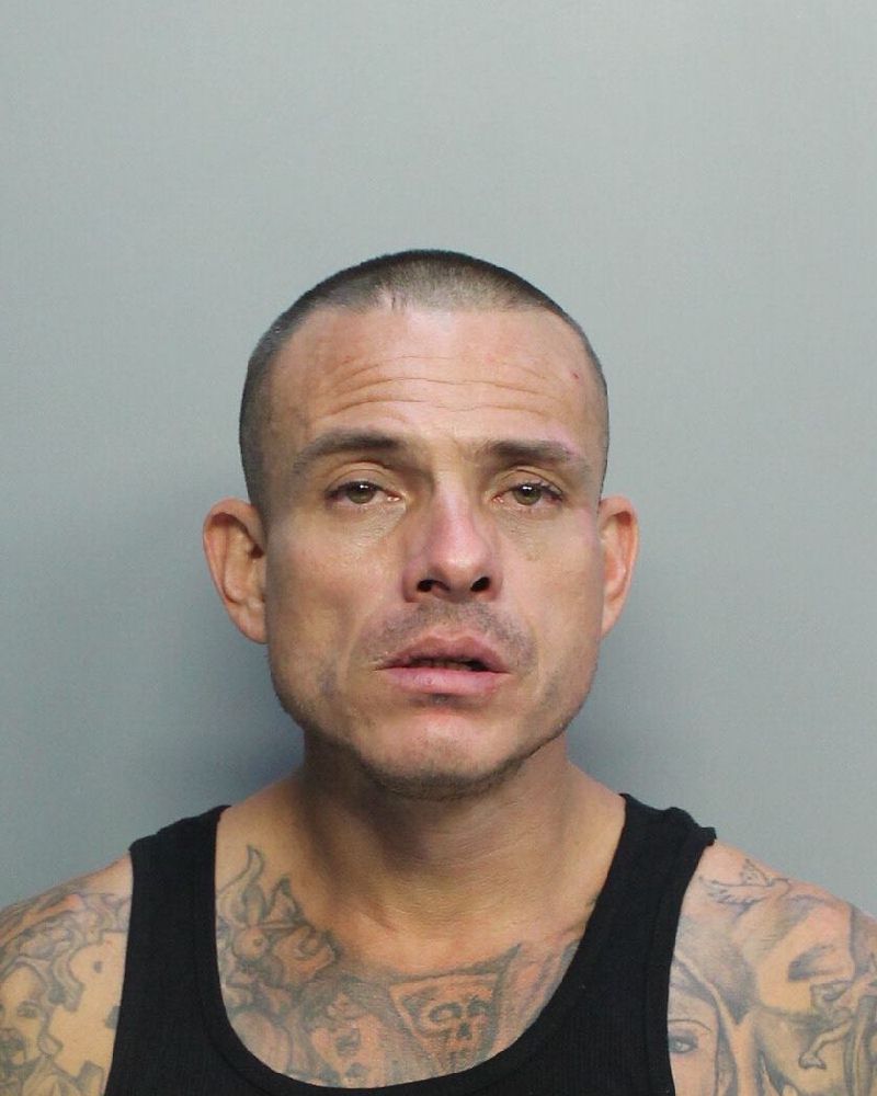 Stedman Amaya Photos, Records, Info / South Florida People / Broward County Florida Public Records Results