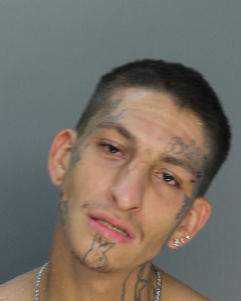 Seth Ritchie Photos, Records, Info / South Florida People / Broward County Florida Public Records Results